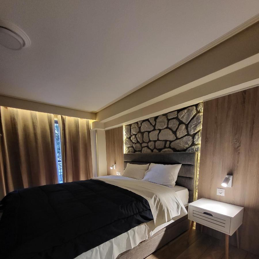 Kondoulis Apartment 2 Калампака Екстериор снимка